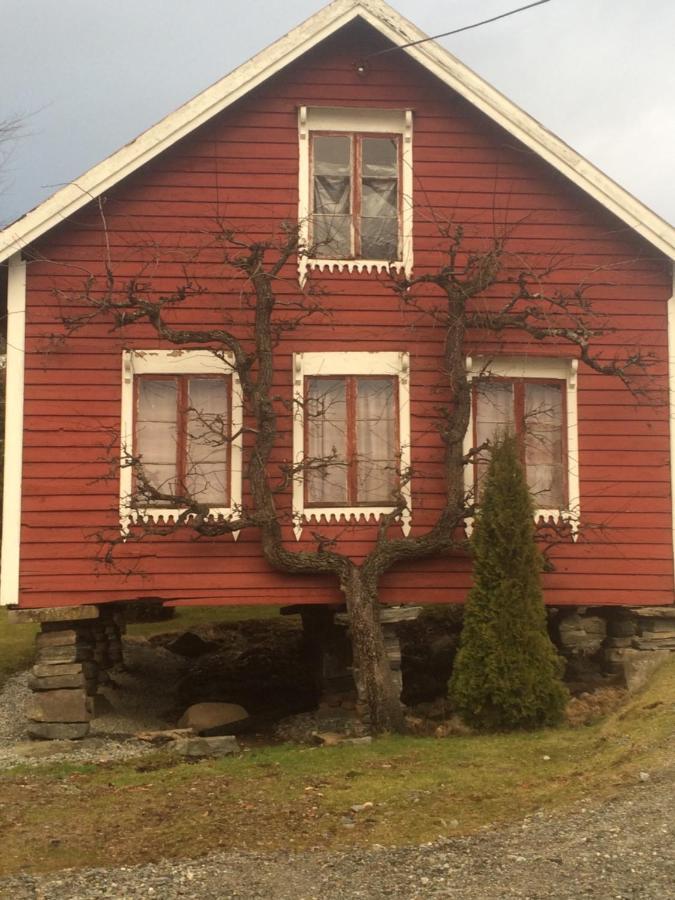 Bed and Breakfast Line Pa Hauane1 Volda Exterior foto