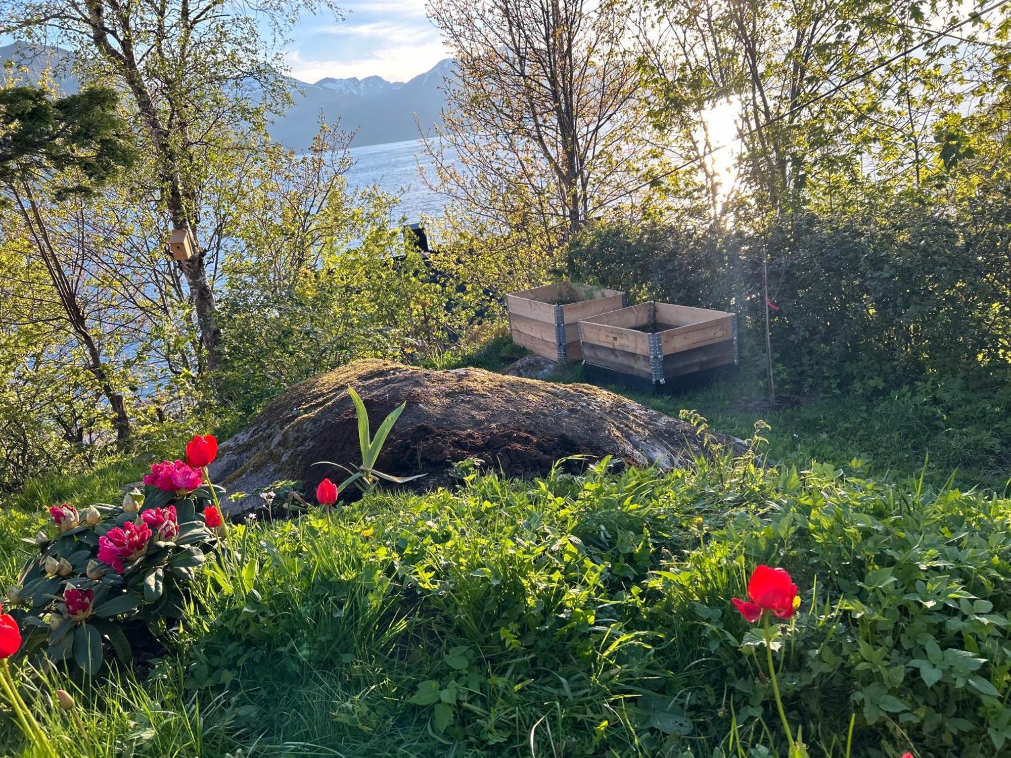Bed and Breakfast Line Pa Hauane1 Volda Exterior foto